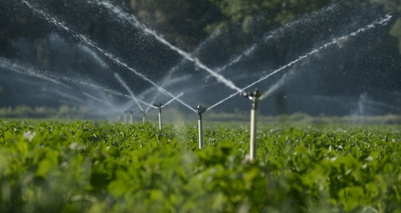 Irrigation Service in Honolulu, HI