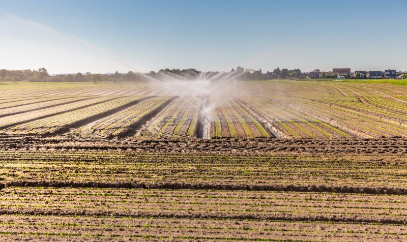 Mist Irrigation Installation in Honolulu, HI