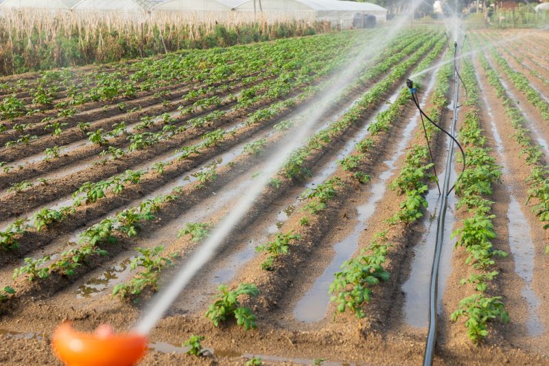 Commercial Irrigation Service in Honolulu, HI