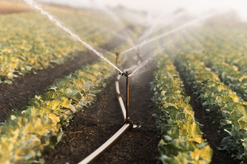 Commercial Irrigation Service in Ventura County, CA