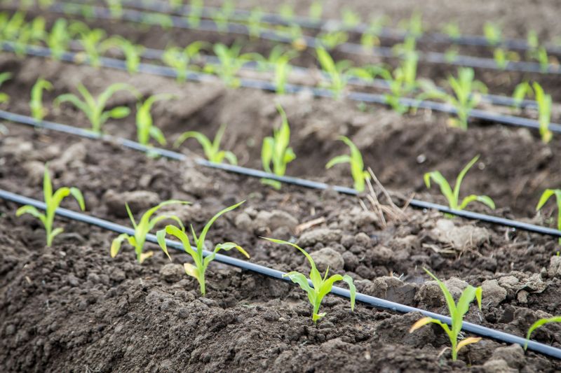 Drip Irrigation Installation in Ventura County, CA