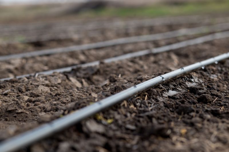 Drip System Installation in Ventura County, CA