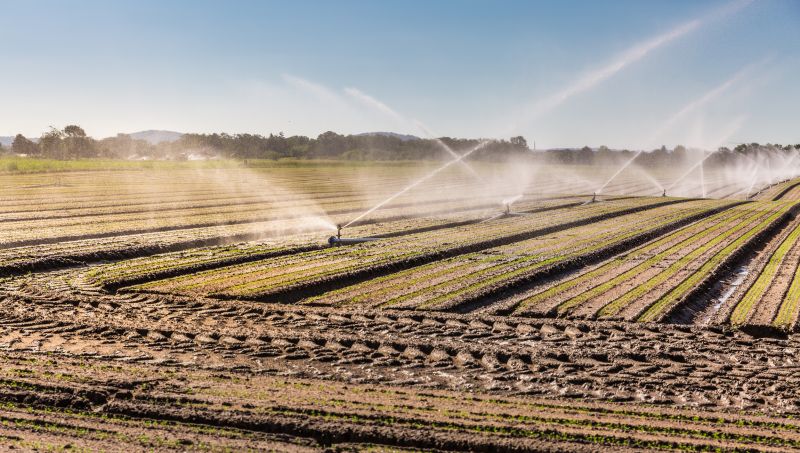 Field Irrigation Installation in Aiken, SC
