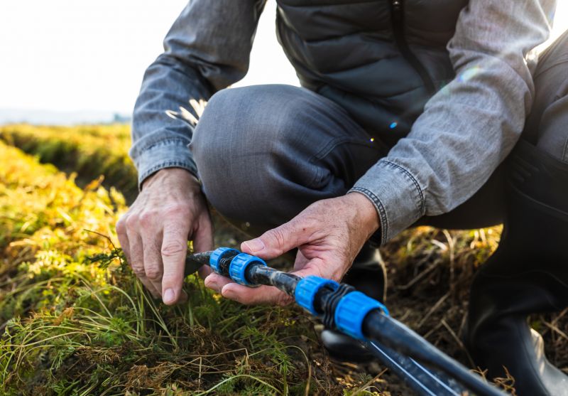 Lawn Irrigation Repair Service detail