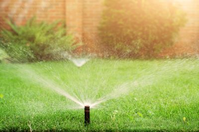 Grass Sprinkler Installation in Aiken, SC