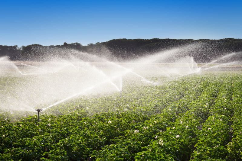 Irrigation Installation in Ventura County, CA