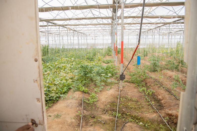 Irrigation Service in Ventura County, CA