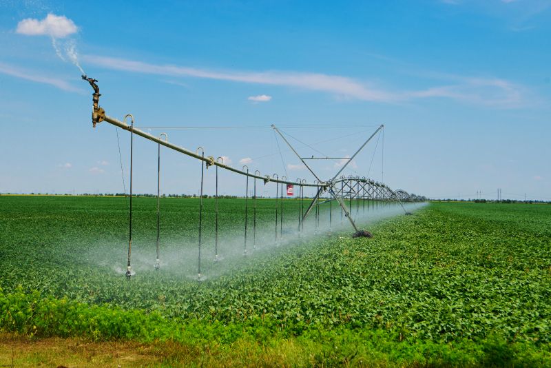Irrigation System Replacement in Aiken, SC
