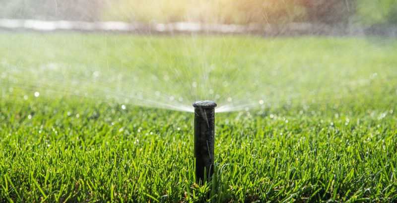 Lawn Sprinkler Replacement in Aiken, SC