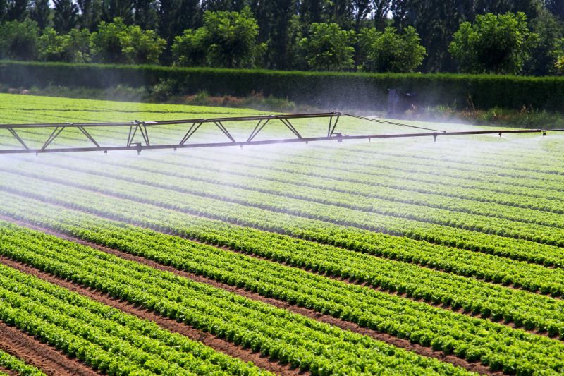 Mist Irrigation Installation in Honolulu, HI