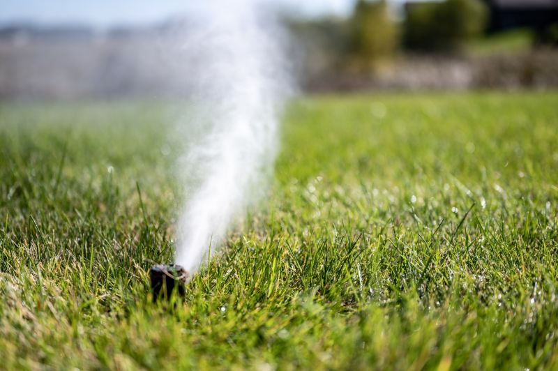 Sprinkler Winterization in Carson City, NV