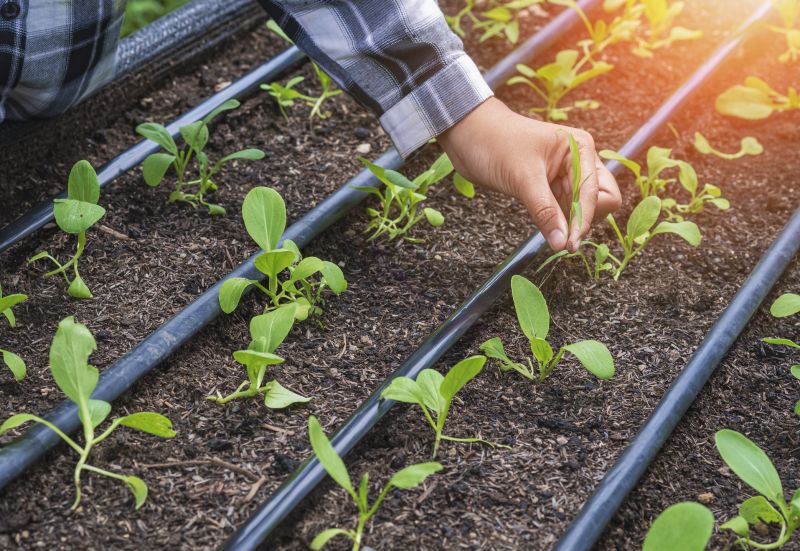 Underground Irrigation Service in Aiken, SC