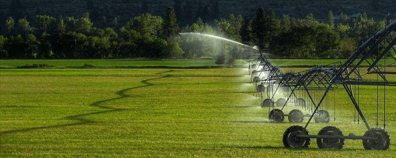 Watering System Installation in Aiken, SC
