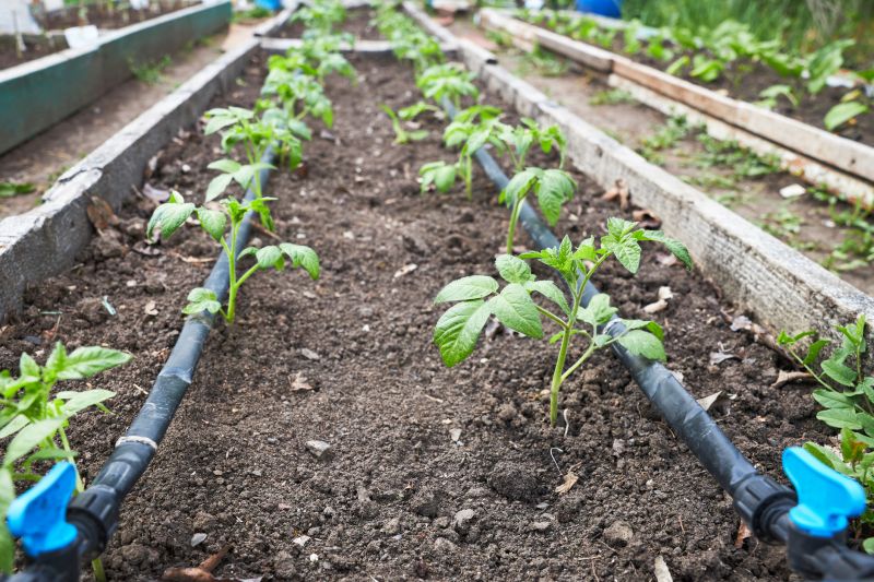 Watering System Installation in Honolulu, HI