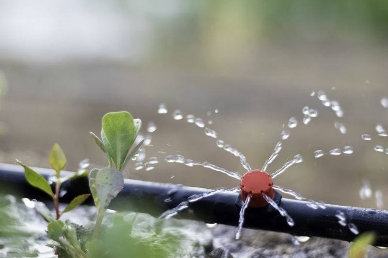 Watering System Installation in Honolulu, HI